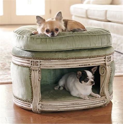 Top 10 Interesting Design Ideas for Pet Spaces - Top Inspired