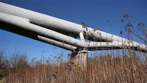 Big pipe stock photo. Image of branch, agriculture, field - 238943950