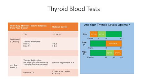 TSH w/Reflex to FT4 Testing for Thyroid Function | Excel Male TRT Forum