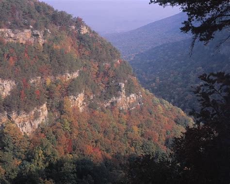 Fall Cloudland Canyon Photograph by Mark W Hutchison - Fine Art America