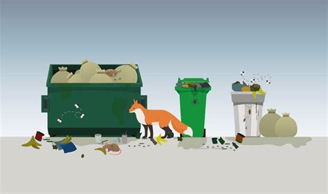 Overflowing garbage bins: 5 impacts on health and environment, and how ...