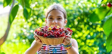 Premium Photo | The child eats berries in the garden selective focus