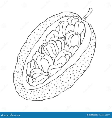 Line Art Jackfruit. Vector Illustration Stock Illustration ...