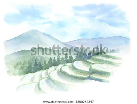 Watercolor Painting Terraced Rice Fields Stock Illustration 1300262347 | Shutterstock