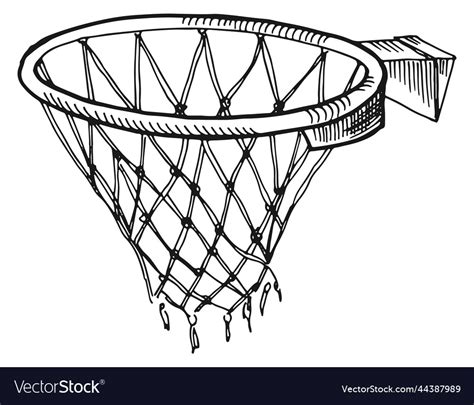 Basketball hoop sketch hand drawn sport basket Vector Image