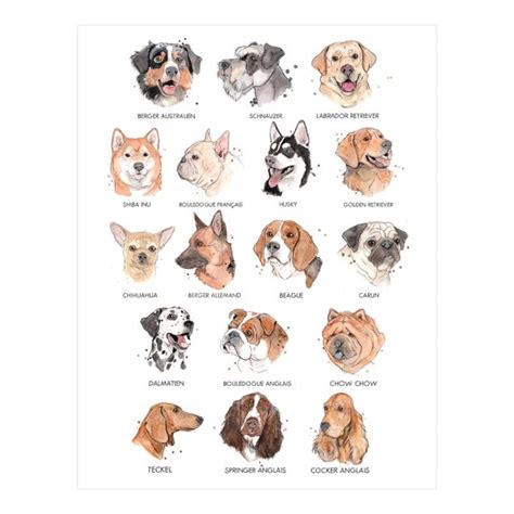 Affiche Les Races de Chiens Poster Animaux Carlin - Etsy Canada