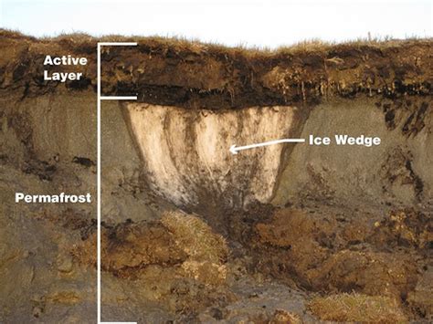 Rapidly Thawing Permafrost Could Double Greenhouse Gas Emissions