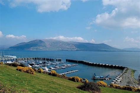 Carlingford Lough | Co. Down, Ireland, Wildlife | Britannica