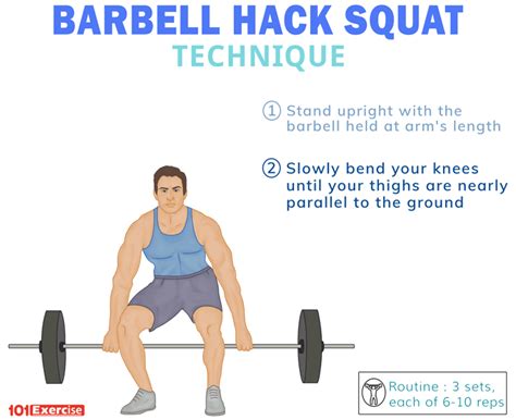 Barbell Hack Squat | 101Exercise.com