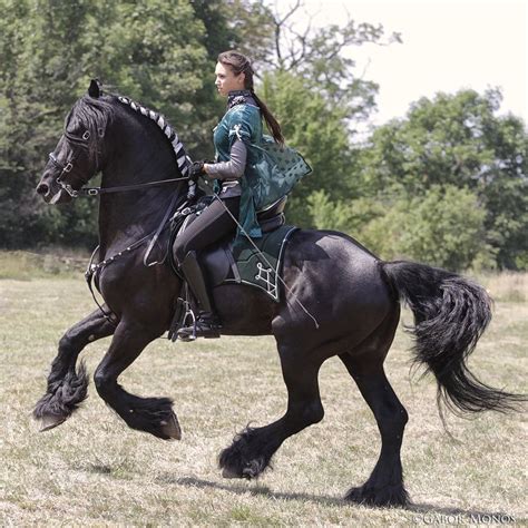 a woman riding on the back of a black horse in a field next to trees