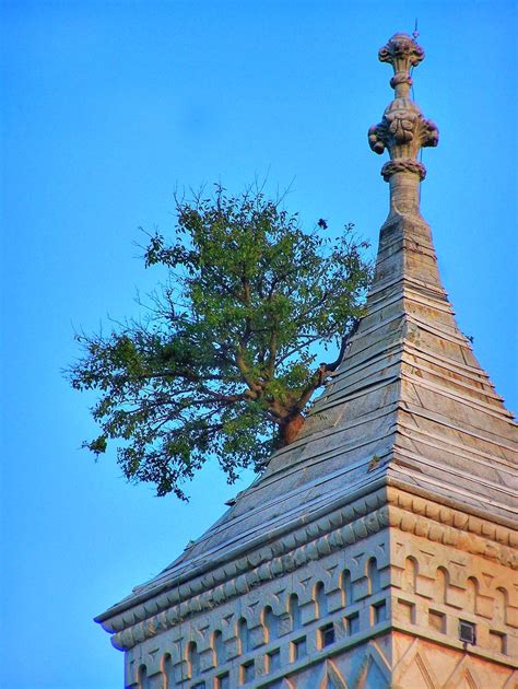 Greensburg Courthouse Tree | This is the famous Greensburg c… | Flickr