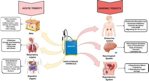 Acute and chronic health effects of toxic chemicals used for... | Download Scientific Diagram