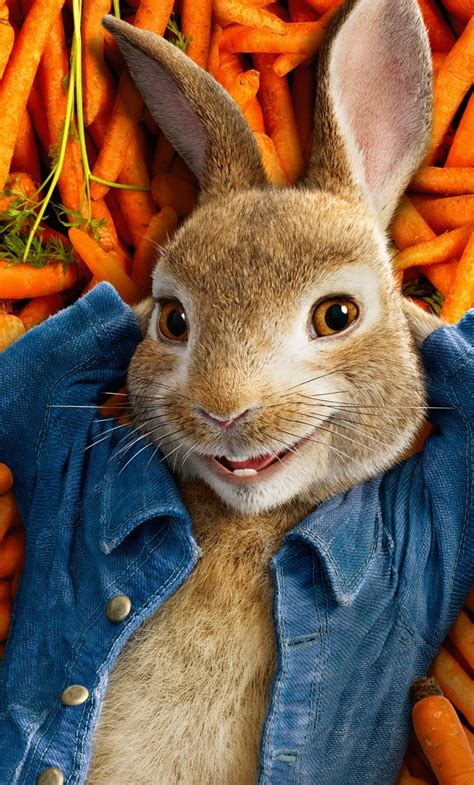 1280x2120 Resolution Peter Rabbit 2018 Movie Poster iPhone 6 plus Wallpaper - Wallpapers Den