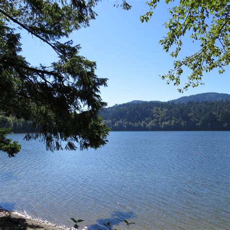 Lake Padden Park (Bellingham) - All You Need to Know BEFORE You Go