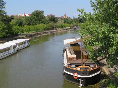 Bega River (Timisoara) - 2020 All You Need to Know BEFORE You Go (with Photos) - Tripadvisor