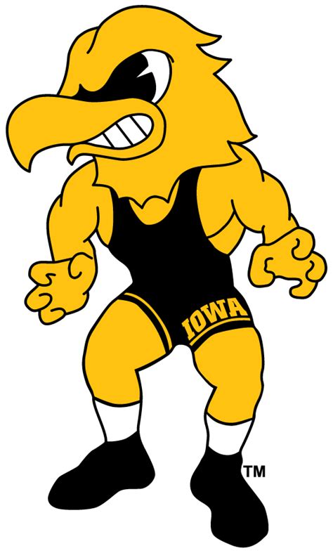 Iowa Hawkeyes Logo - Mascot Logo - NCAA Division I (i-m) (NCAA i-m ...