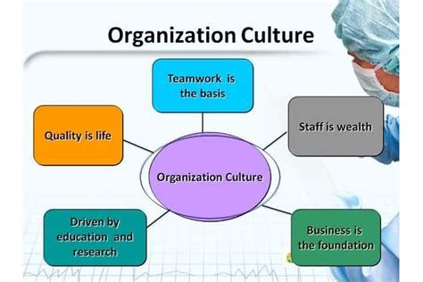 Assignment on Organizational Structure Culture | Locus Help