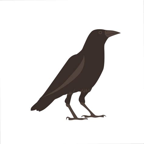 Crow Flat Color Clip art design 3235659 Vector Art at Vecteezy