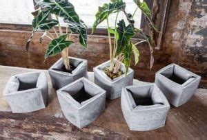 DIY Concrete Planters, Ideas for Outdoor Home Decorating with Flowers