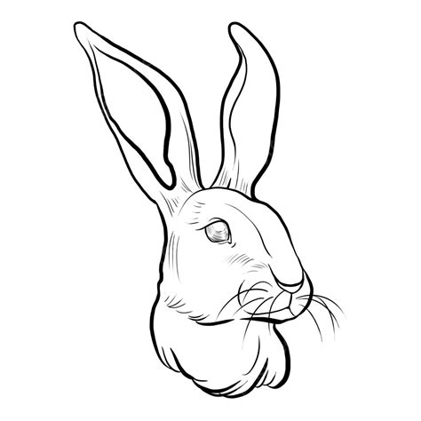 Rabbit Head Logo Line Drawing, Year Of The Rabbit, Rabbit, Rabbit Head PNG Transparent Clipart ...