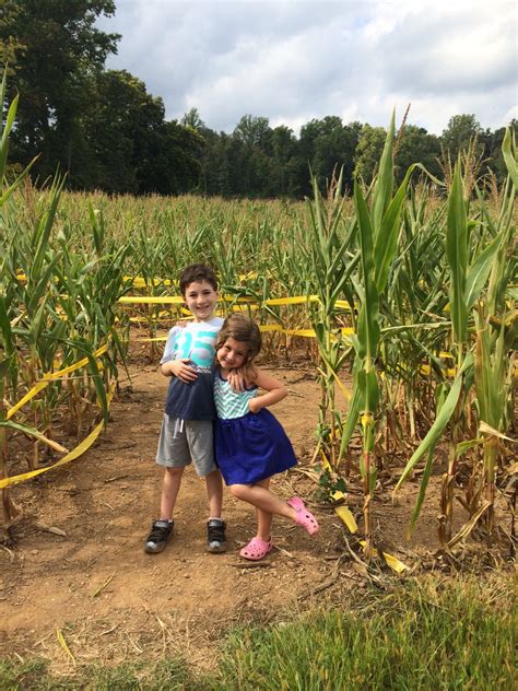 So, You're Considering the Corn Maze