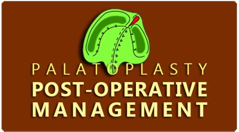 Palatoplasty Surgery in India: Procedure, Treatment and Recovery