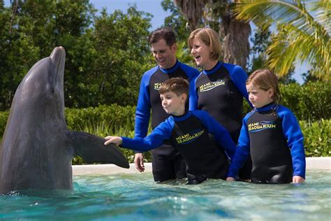 Miami Seaquarium tickets discount | Miami | Undercover Tourist