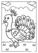 Peacock Coloring Pages39  Free printable coloring Pages Cute sketch template