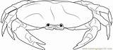 Blue Crab Coloring Page For Kids  Free Printable Pages sketch template