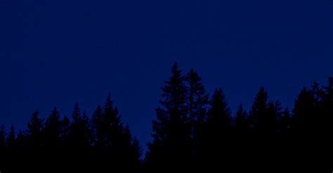 Silhouette of Trees Under a Full Moon · Free Stock Photo