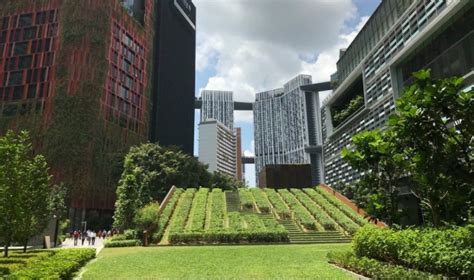 Guide to Tanjong Pagar Centre: Explore this vertical city in the CBD