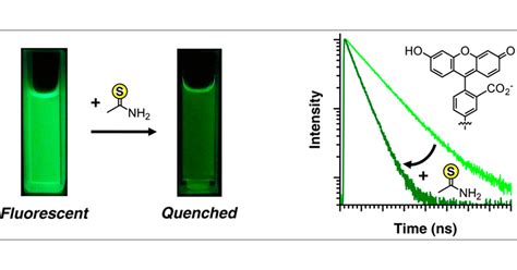 Thioamide Quenching of Fluorescent Probes through Photoinduced Electron Transfer: Mechanistic ...