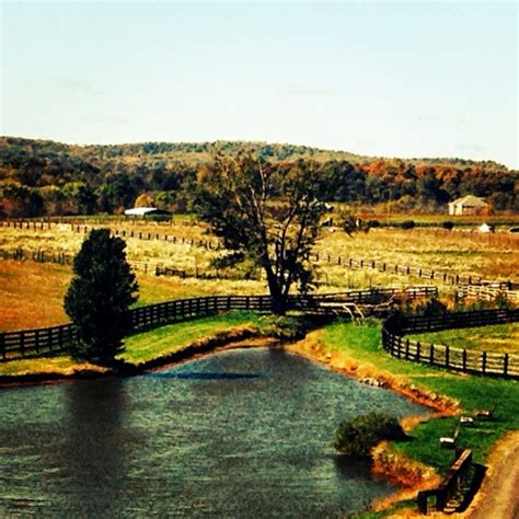 Northern Virginia Wineries with the Best Views – Virginia Winos