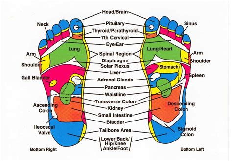 What Is Foot Reflexology? – Online Style Books