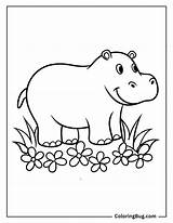 34 Hippo Coloring Pages Free Printable PDFs sketch template