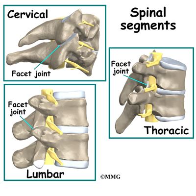 Conditions and Treatments