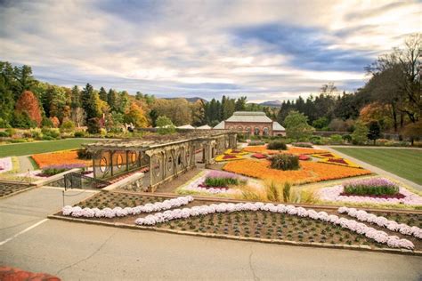 Garden Lovers - Biltmore