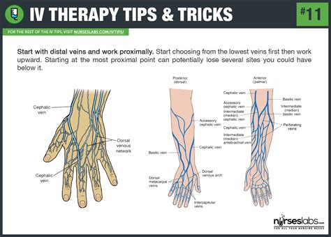 50+ IV Therapy Tips and Tricks: The Ultimate Guide | Iv therapy, Iv tips and tricks, Intravenous ...