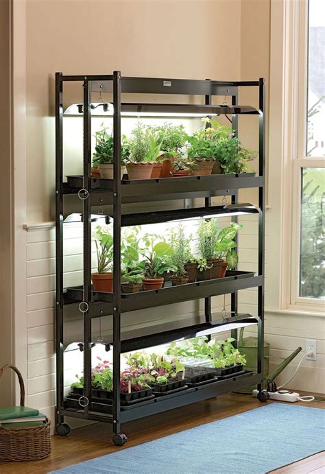 3-Tier SunLite® Garden Shelves + Fluorescent T-5 Bulbs | Garden shelves, Indoor vegetable ...