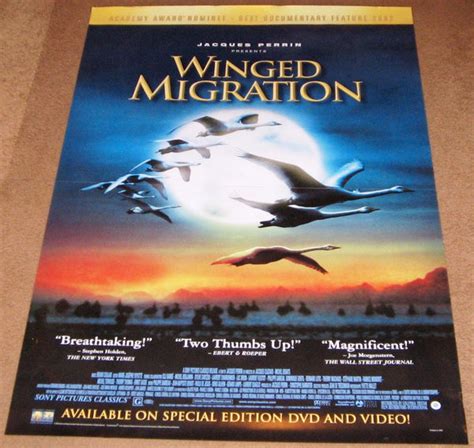 Winged Migration movie Poster 27x40 Used – Mason City Poster Company