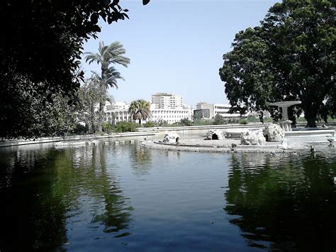 Local Guides Connect - Zoo, Alexandria, Egypt - Local Guides Connect