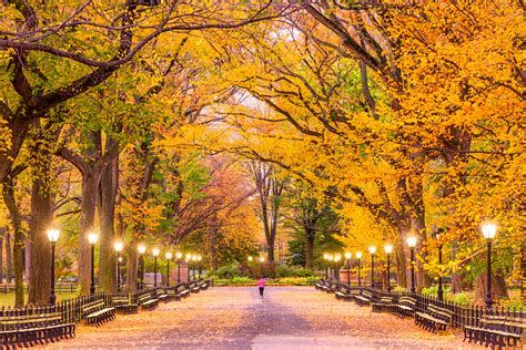 New York Ranks As One Of The Prettiest Places To Visit In Autumn