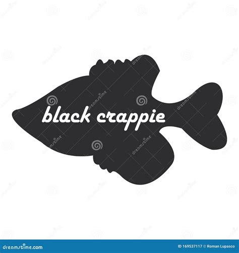 Black Crappie Fish Black Silhouette on White Background Stock Vector ...