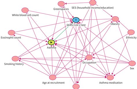 Directed Acyclic Graph (DAG) identifying potential confounders for the... | Download Scientific ...