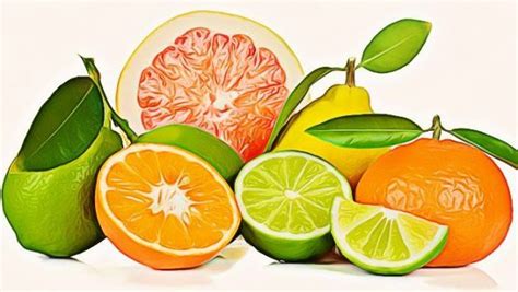 11 health benefits of citrus fruits