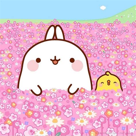 MOLANG on Instagram: “Stay positive and celebrate with Molang and Piu Piu the first day of ...