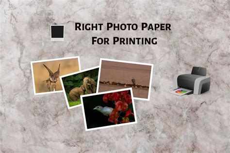 5 Different Photo Printing Paper Types - PhotographyAxis