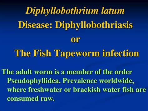 PPT - Diphyllobothrium latum Disease: Diphyllobothriasis or The Fish ...