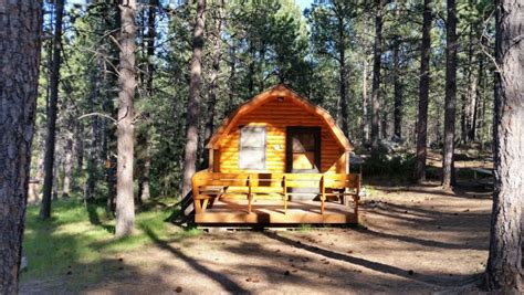 10 Reasons to Visit Custer State Park in South Dakota – Dang Travelers