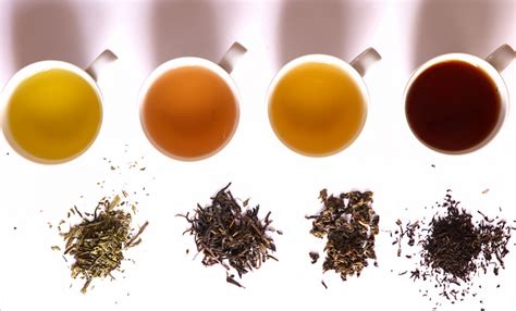 Green - Oolong - Black - Different Types of Tea? Altitude Tea